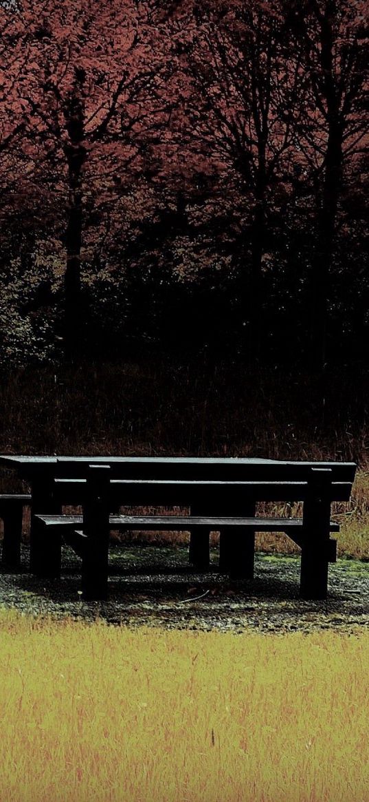 bench, table, wood, glade, autumn