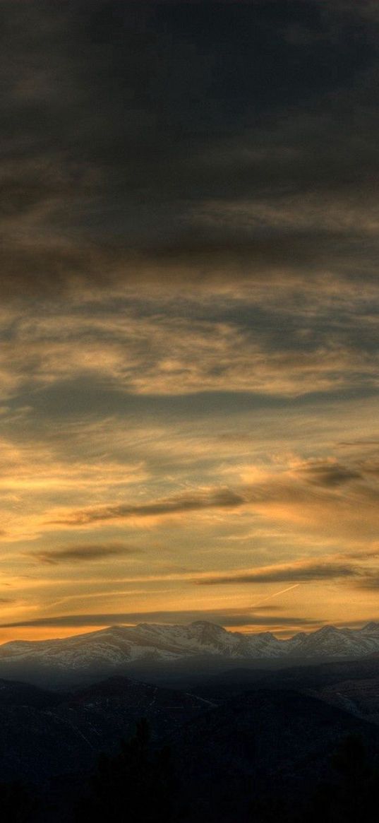 sky, clouds, air, tree, evening