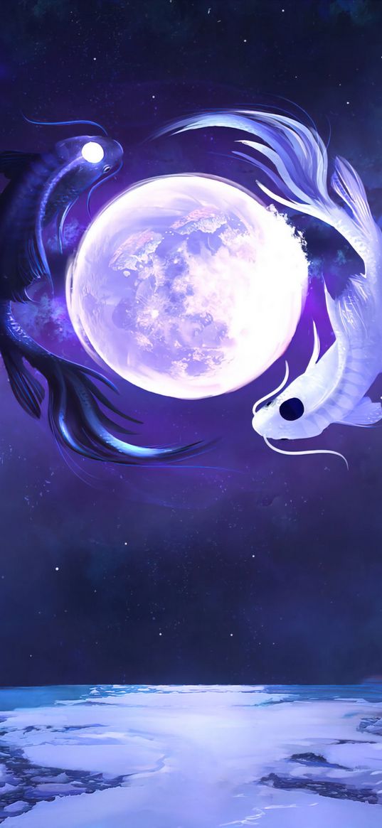 fish, moon, yin-yang, yin yang