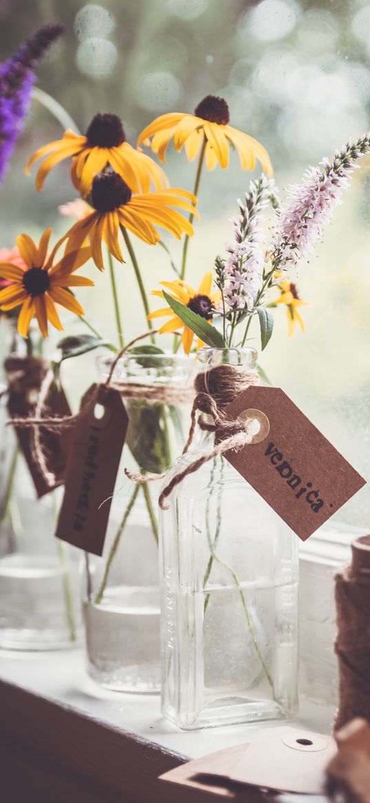 rudbeckia, flowers, petals, vase, aesthetics