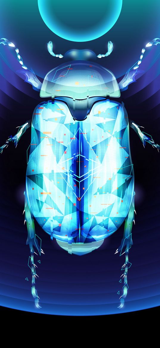 beetle, insect, rings, blue, digital art