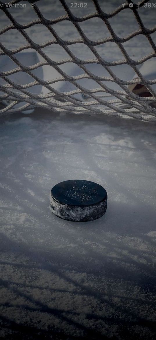 hockey, winter, sport, gate