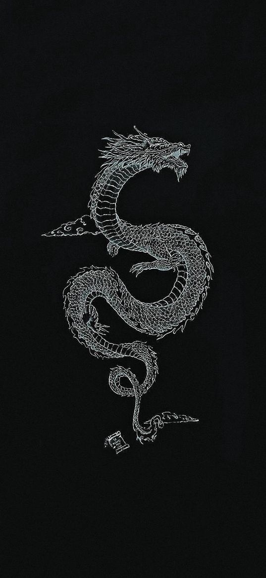 dragon, snake, white, black background, art