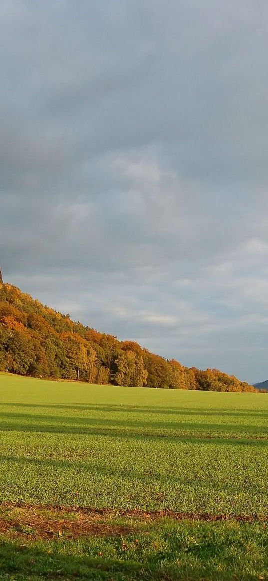 mountains, plain, clouds, grass, green, trees, shadow