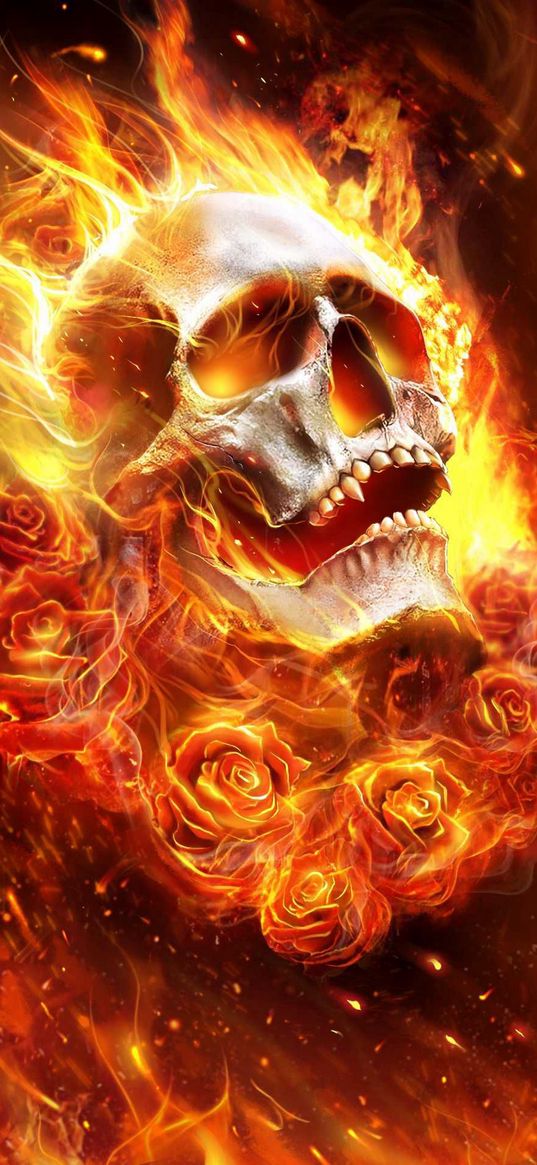 skull, flaming skull, roses, fire