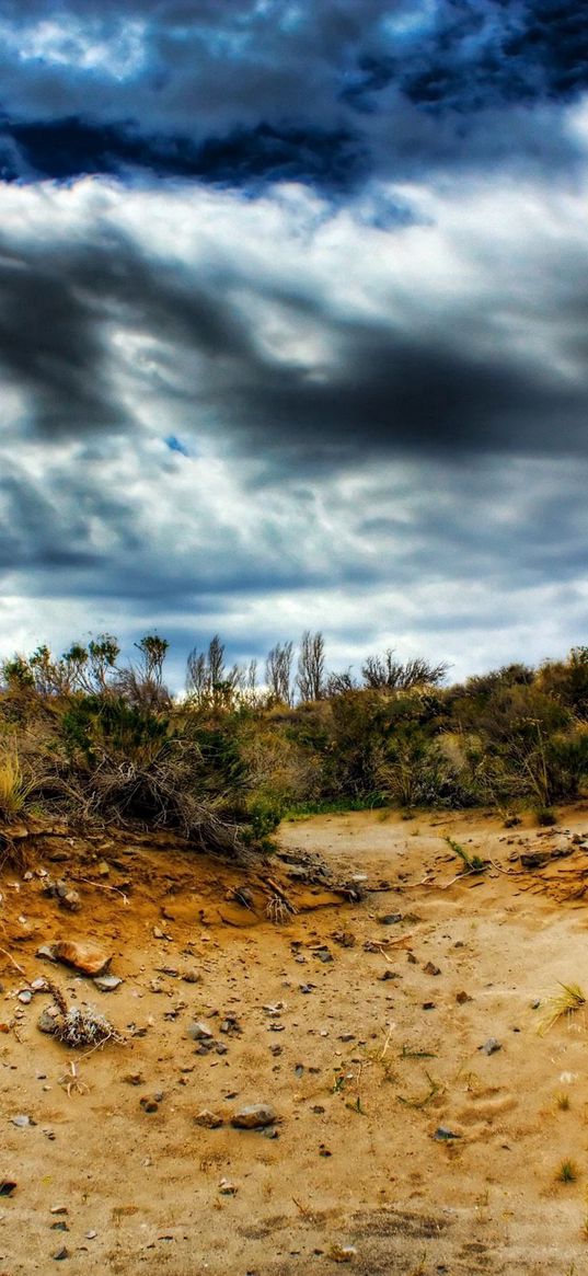 stones, sand, plants, roots, sky, colors