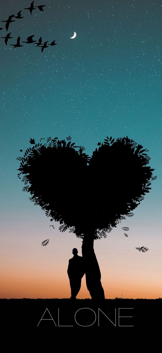 man, tree, heart, birds, silhouette, sunset, stars, alone