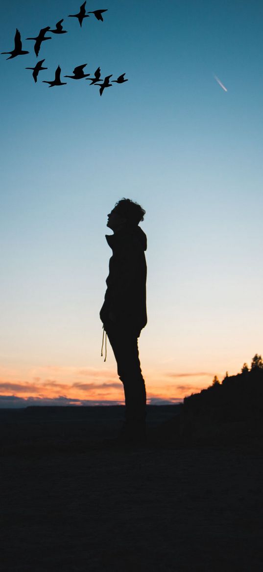 guy, silhouette, evening, birds