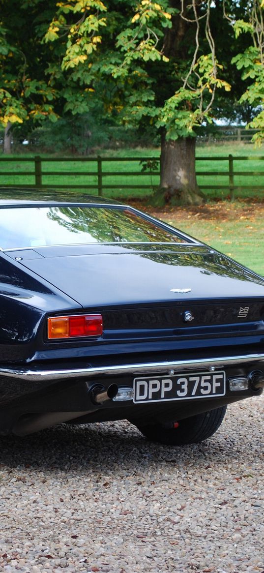 aston martin, dbs, 1967, blue, rear view, car, grass, trees