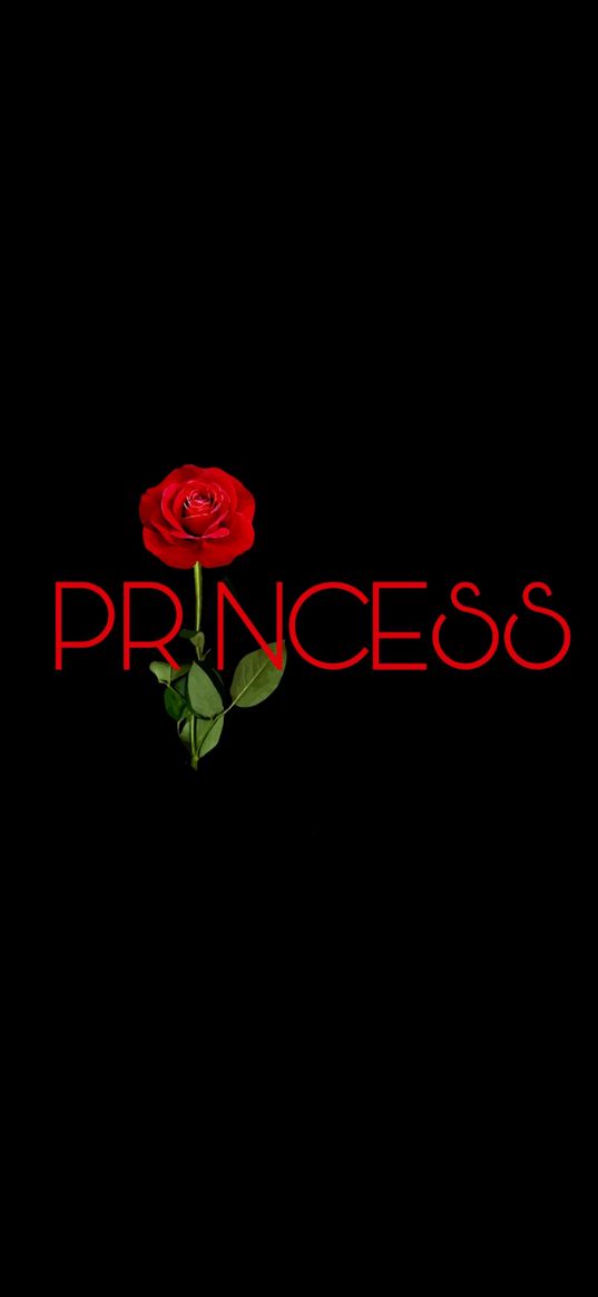 rose, flower, princess, red, black background