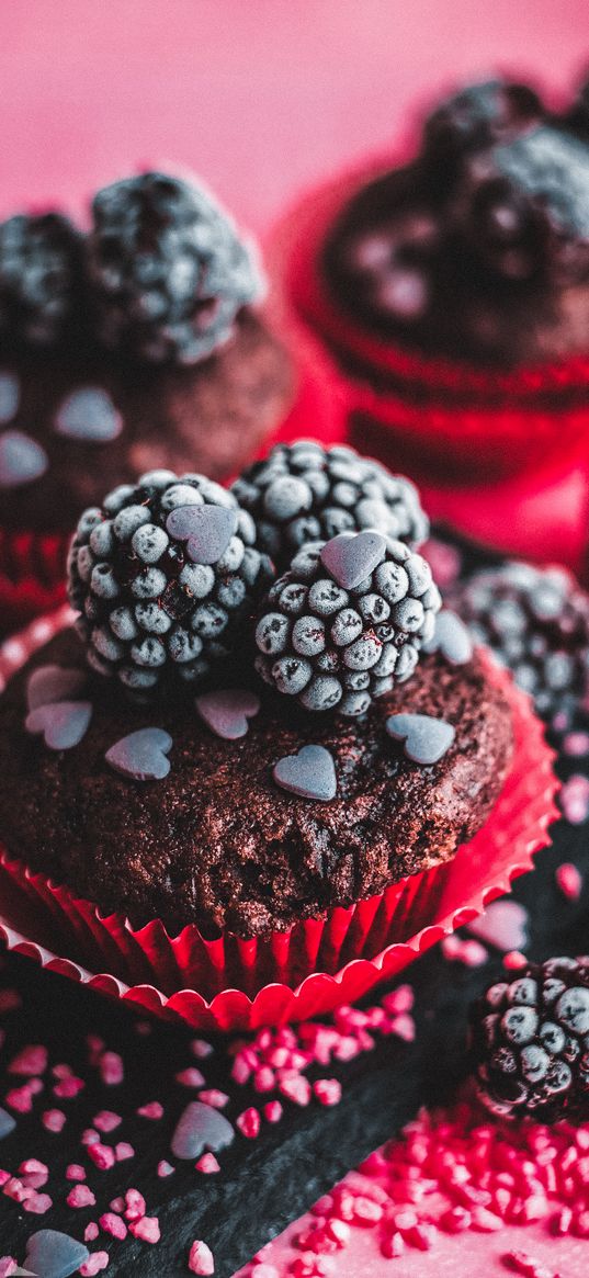 cupcake, berries, blackberry, confectioner, pink