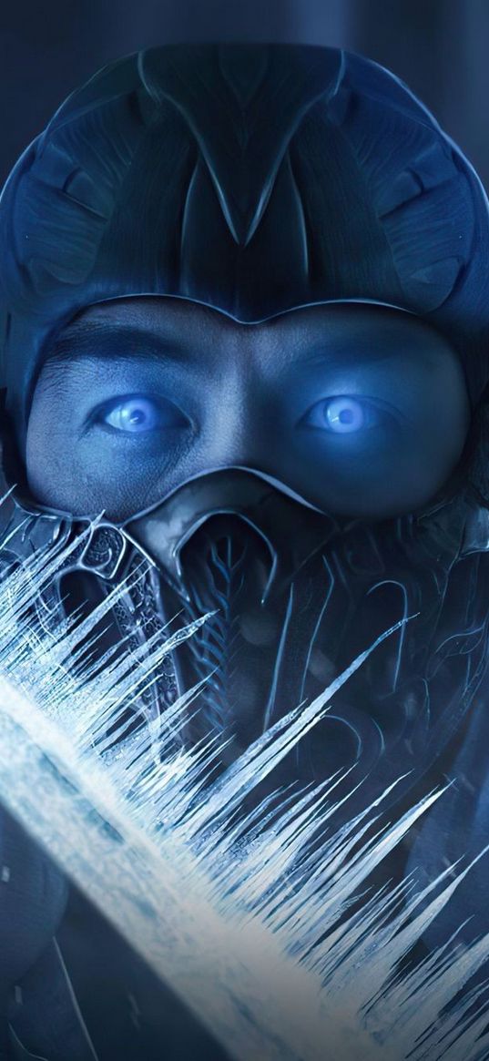 sub zero, mortal kombat, game, character