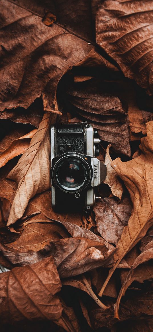 camera, autumn, leaves, vintage, classic