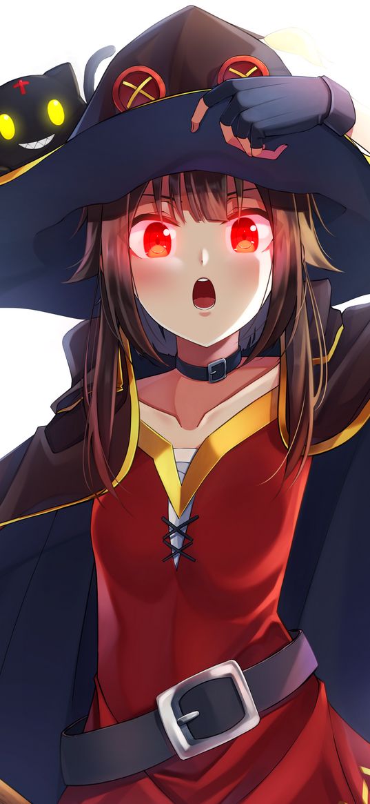 megumin, konosuba, anime, girl, cat