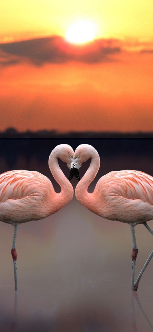 love, flamingos, sunset, landscapes, nature