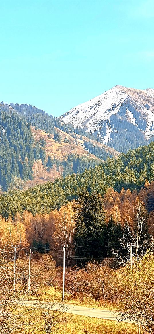 almaty, mountains, trees, nature, landscape