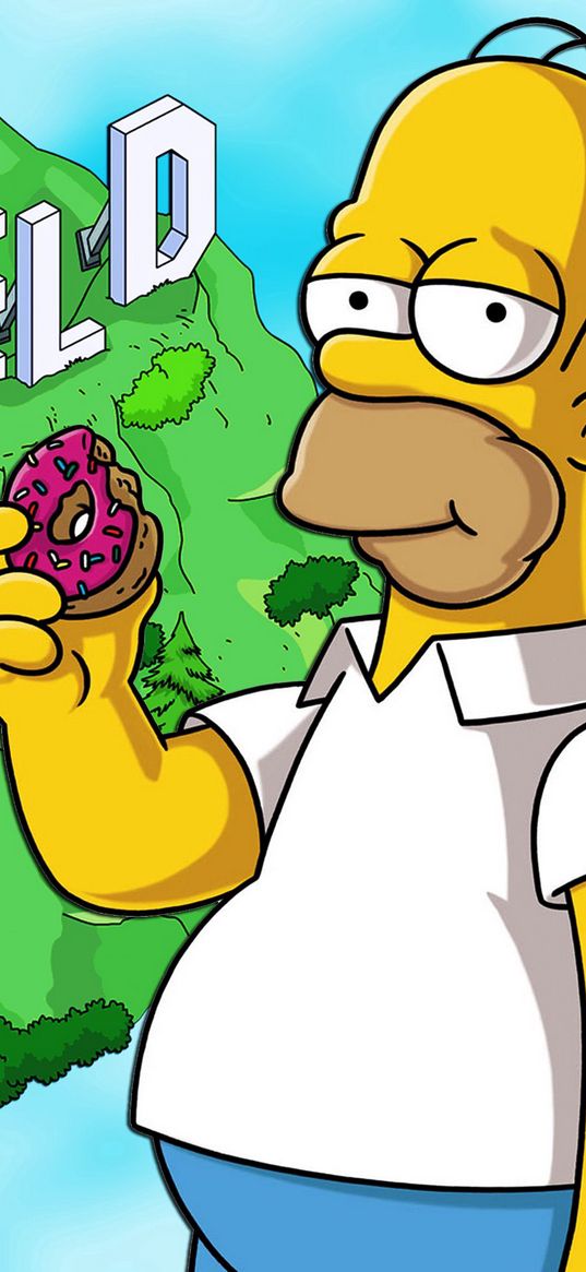 homer simpson, the simpsons, cartoon, donut, springfield, art