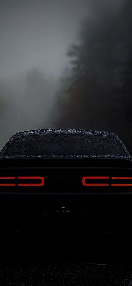 dodge challenger, car, black, fog, forest, nature