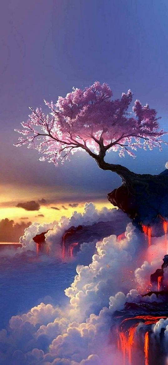 tree, sakura, cliff, clouds