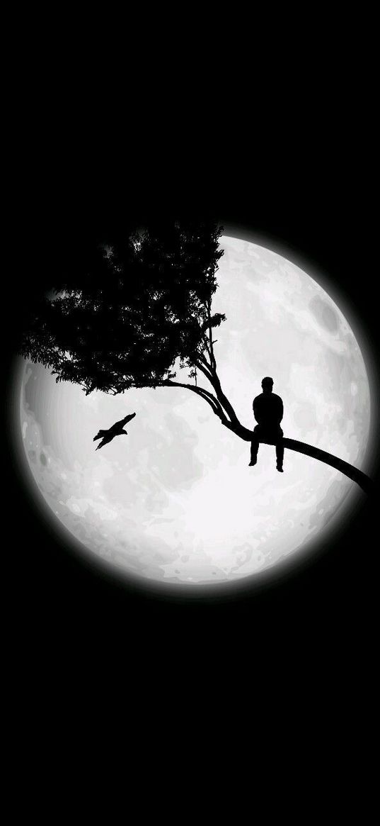 moon, night, tree, man, bird, silhouette, black