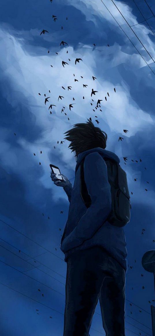 guy, smartphone, birds, clouds, cloudy, sky, art