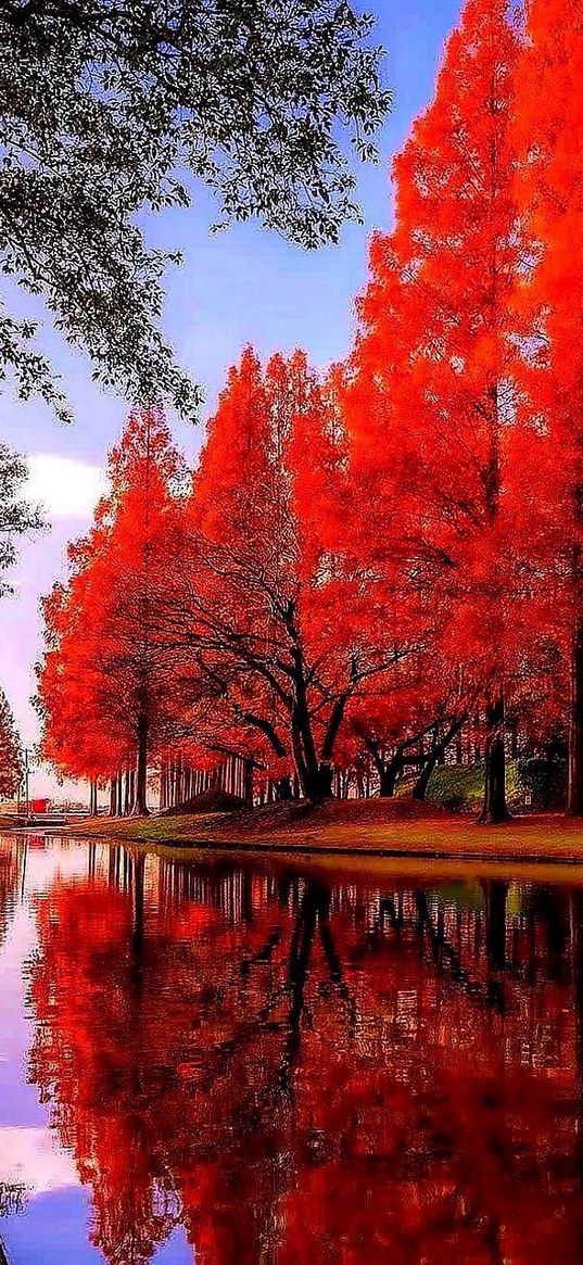 park, trees, hand, autumn, red, nature