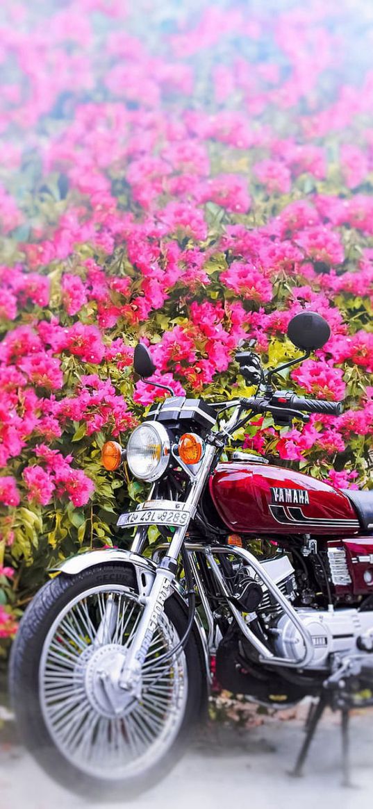 yamaha, motorcycle, moto, bike, field, flowers