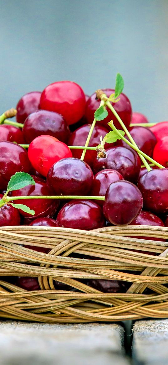 cherry, fruit, basket, food