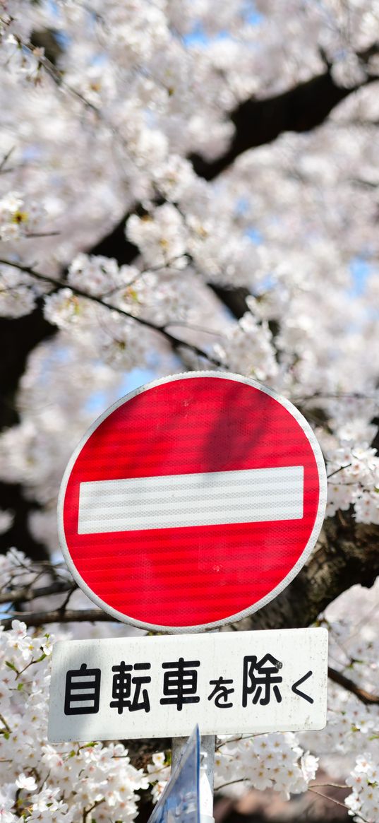 stop, sign, hieroglyphs, flowers, words