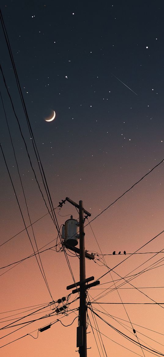 pole, wires, birds, sunset, sky, stars, crescent