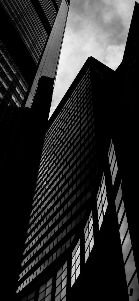 skyscrapers, buildings, windows, bottom view, light, black