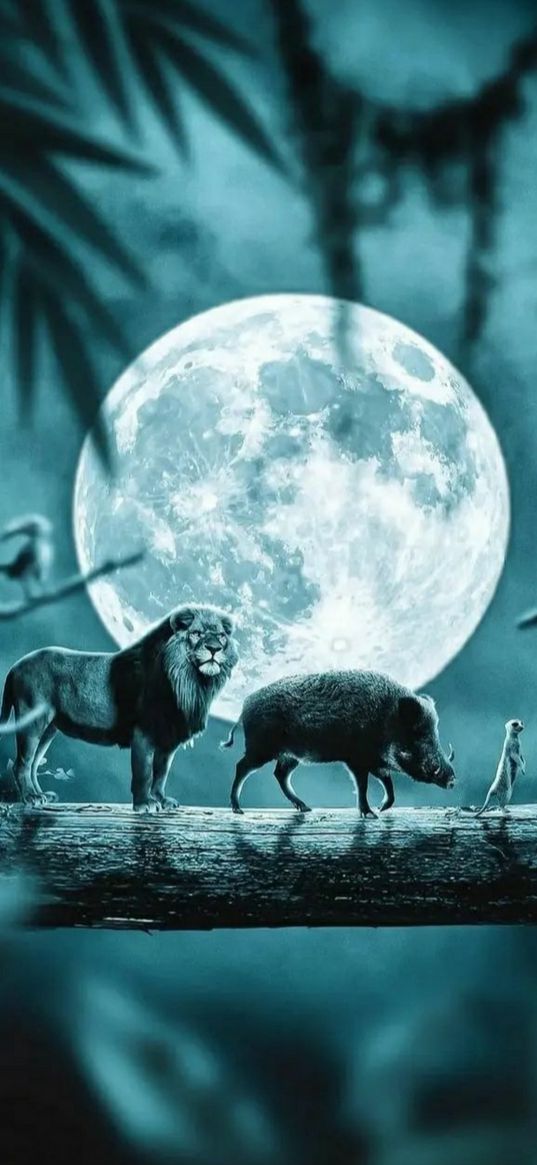 lion king, movie, characters, lion, boar, meerkat, moon, night