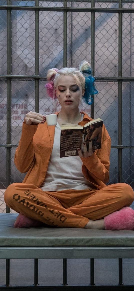 harley quinn, book, lattice, dс