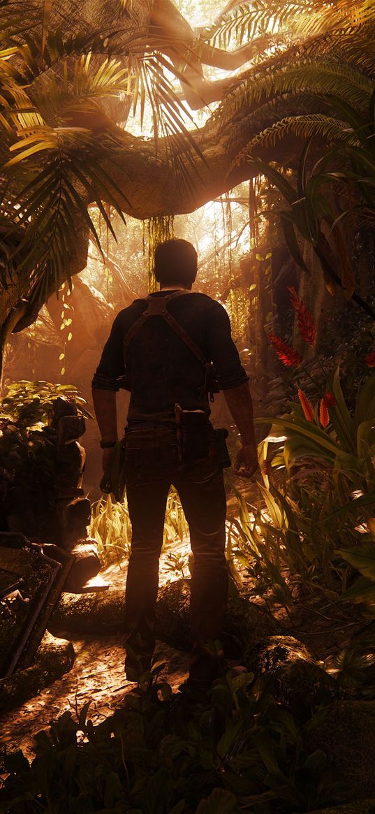 uncharted, game, character, back, hd