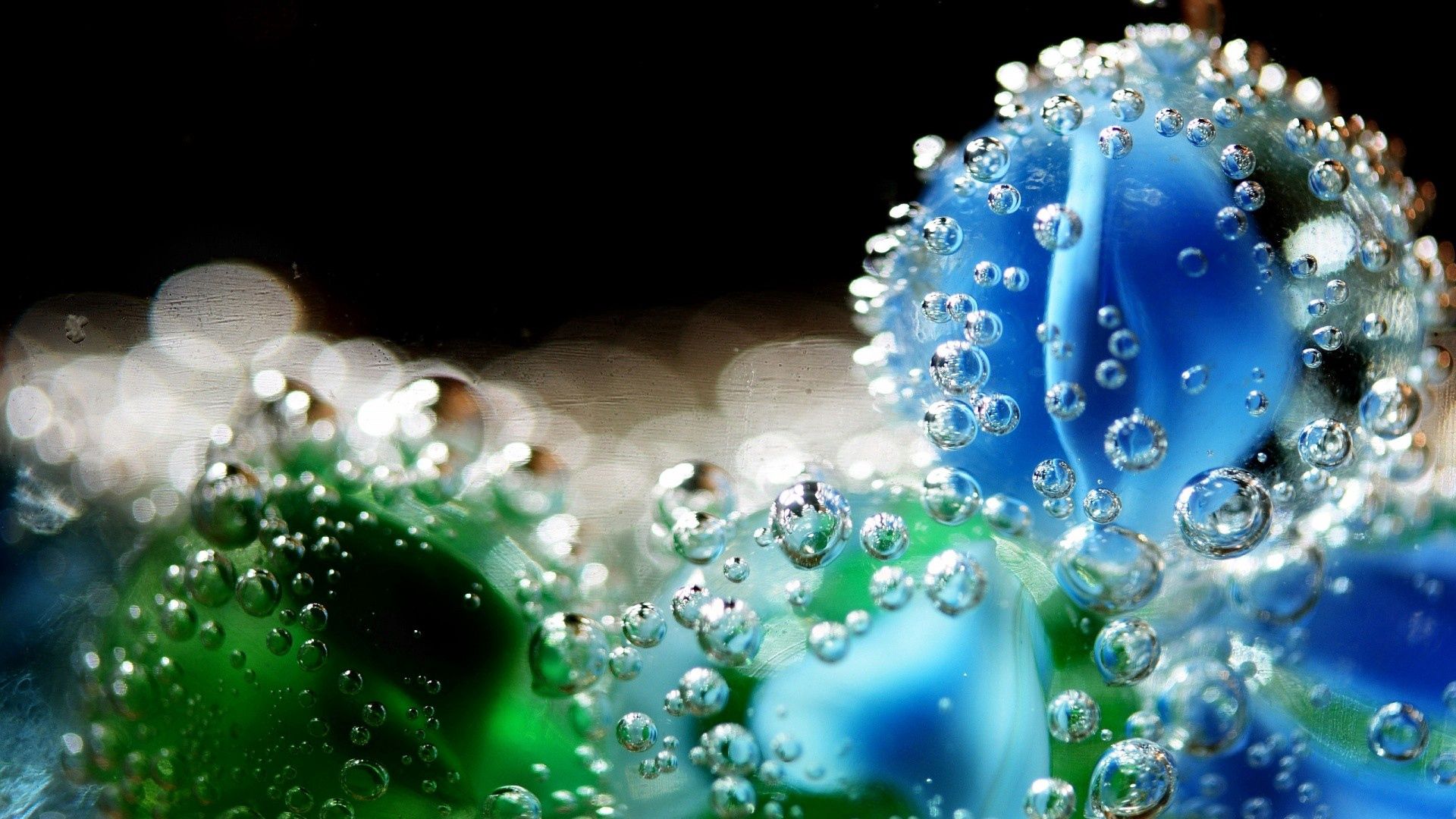 flower, drop, water, immersion