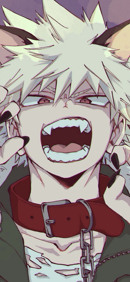 katsuki bakugo, my hero academy, anime, cat