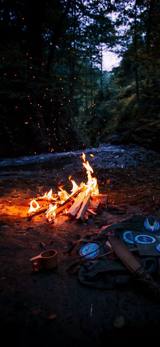 bonfire, forest, grass, picnic, nature, landscape