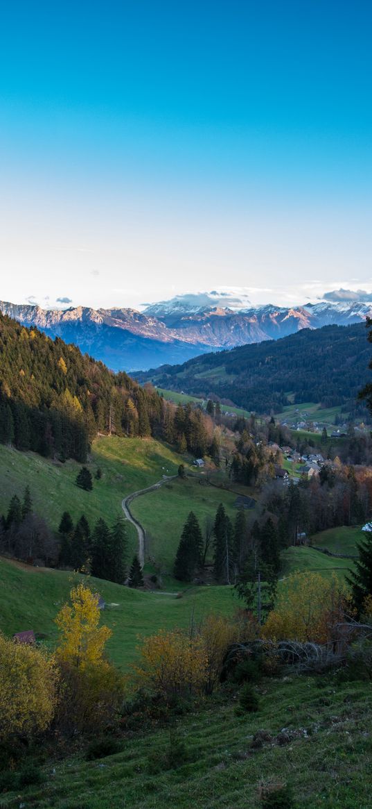 mountains, trees, forest, trail, houses, nature