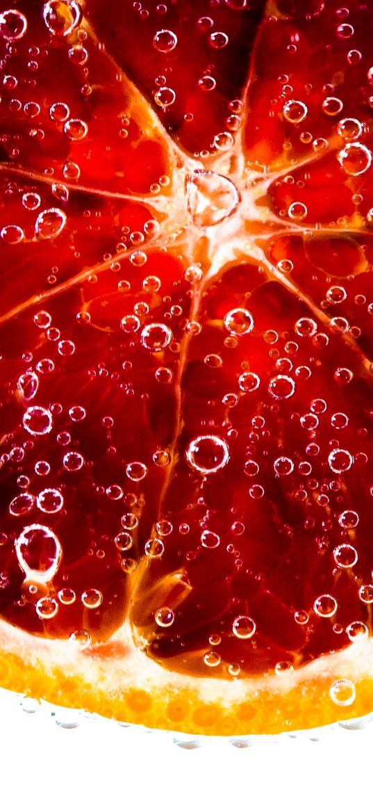 orange, slice, water, bubbles, fruit, food, macro