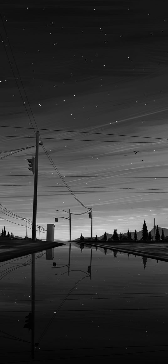 wires, pillars, sky, horizon, stars, moon, art, bw, black and white