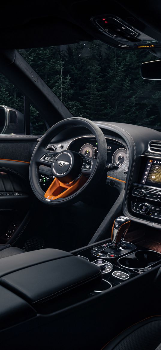 bentley, car, interior, black, night, trees