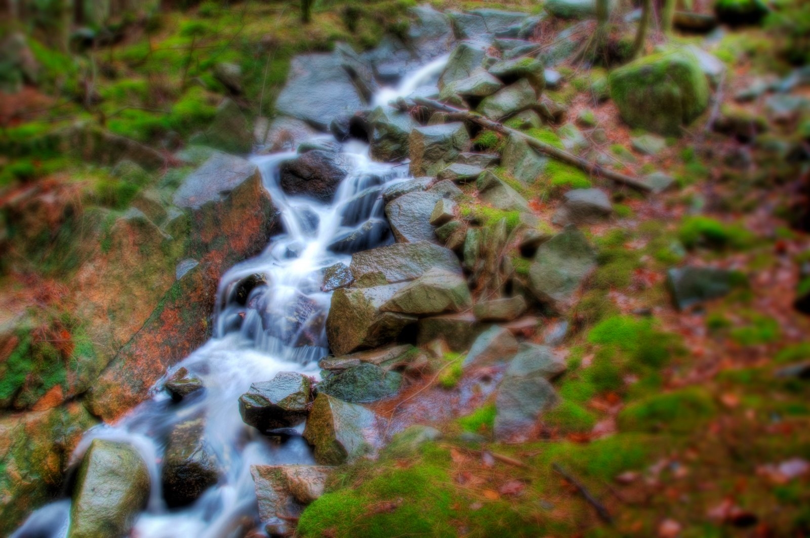 stream, wood, stones, leaves, moss, branches