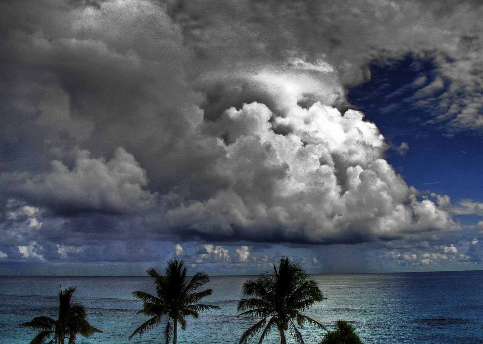 clouds, volume, sky, palm trees, sea