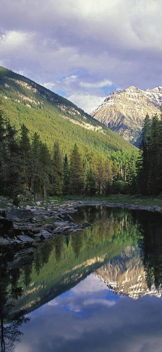 lake, mountains, fir-trees, coniferous, shadows, sunlight, horseshoe lake, jasper national park, canada