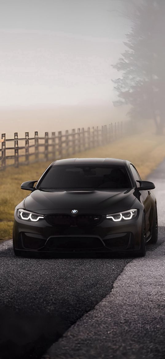 bmw, car, black, road, fog, nature