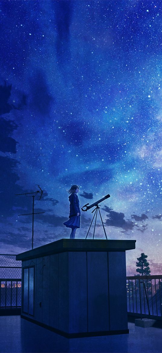 anime, girl, art, sky, stars, city, roof, telescope