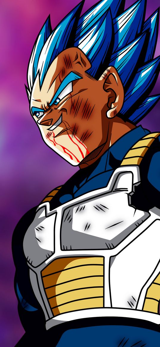 vegeta, dragon ball, anime, fighter, abrasions, art