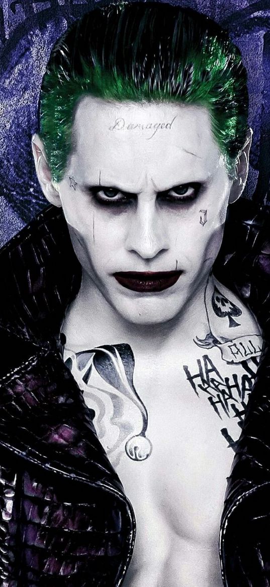 joker, suicide squad, dc, movies, comics