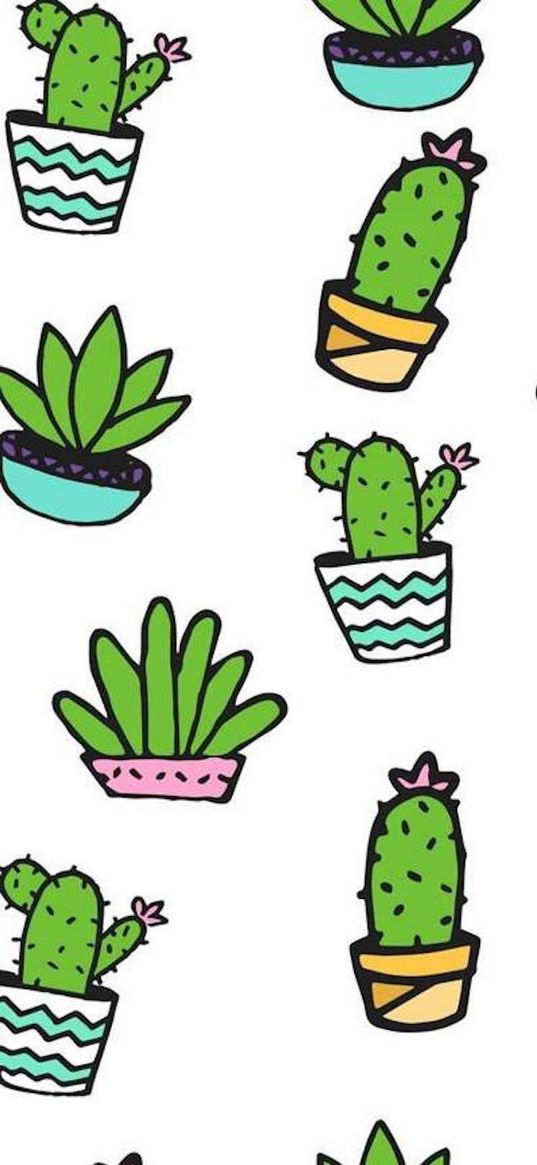 cacti, succulents, plants, white background, art