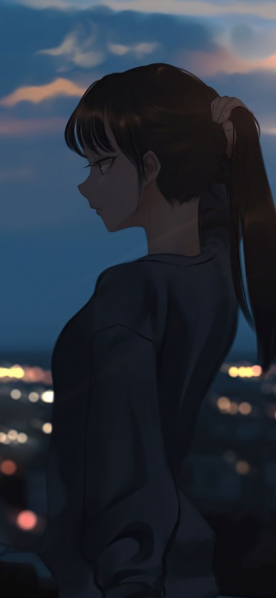 girl, anime, sweatshirt, hairstyle, sunset, art